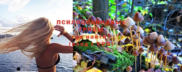 дурь Надым