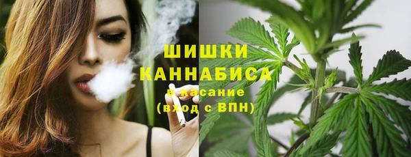 дурь Надым